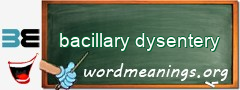 WordMeaning blackboard for bacillary dysentery